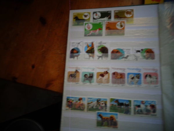 galleryimage 2 zoomed in