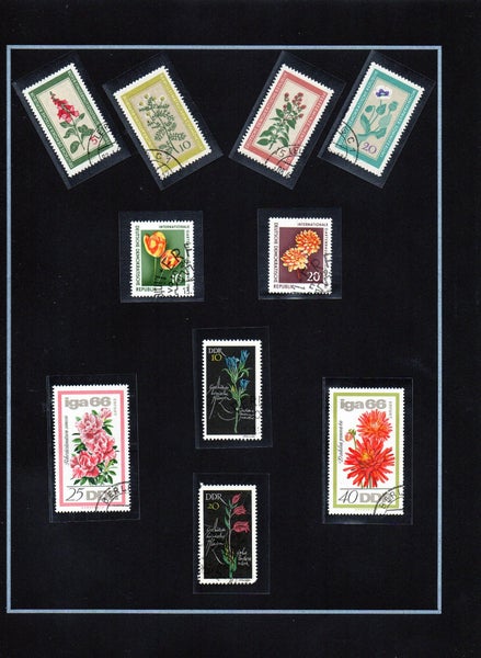 galleryimage 3