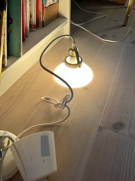galleryimage 3