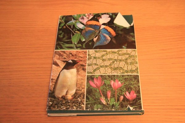 galleryimage 2