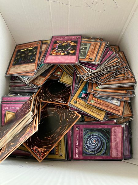 galleryimage 2 zoomed in