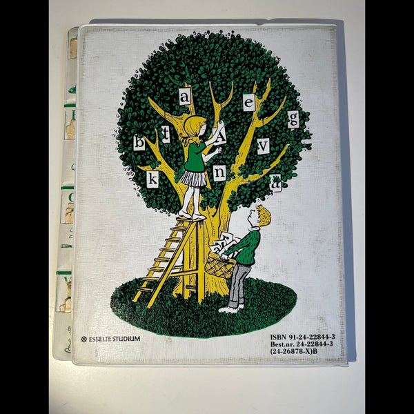 galleryimage 3