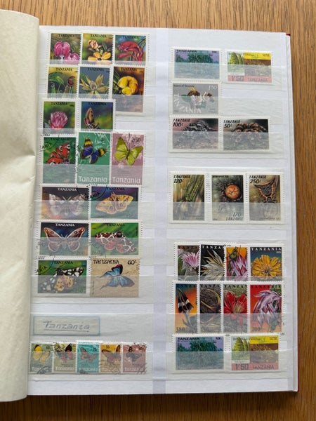 galleryimage 2