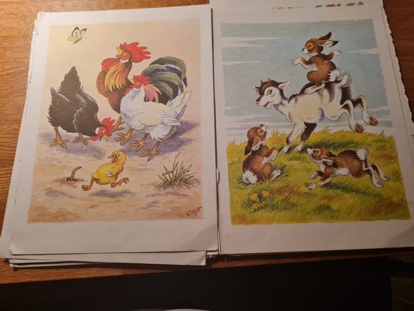galleryimage 3