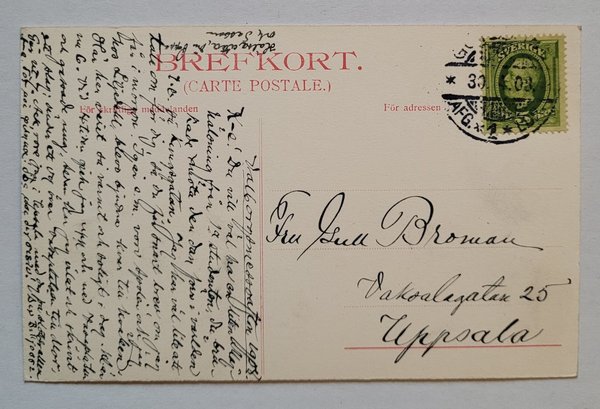 galleryimage 2 zoomed in