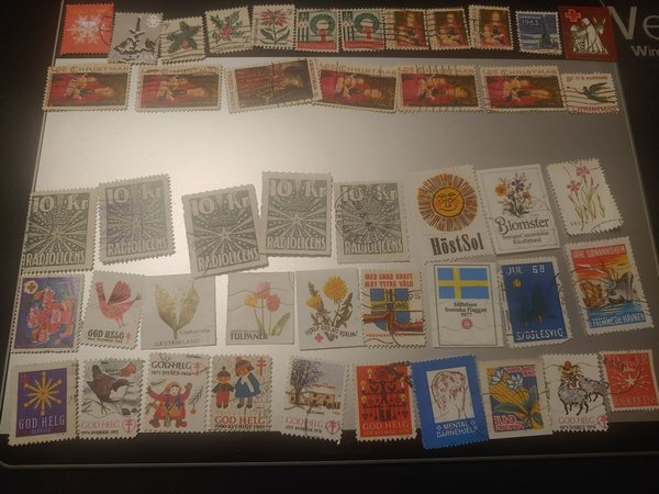 galleryimage 2 zoomed in