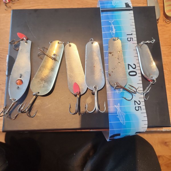 galleryimage 2 zoomed in