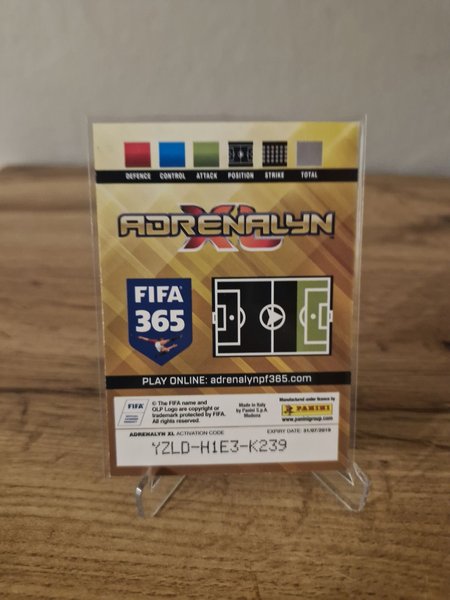 galleryimage 2 zoomed in