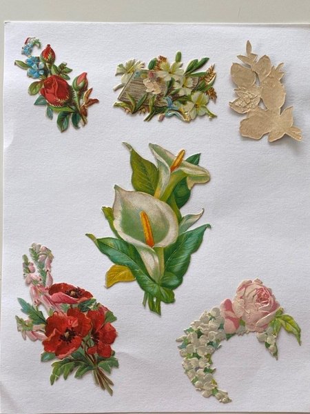 galleryimage 2 zoomed in