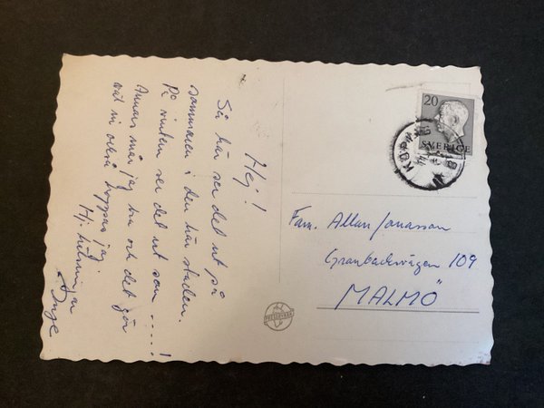 galleryimage 2 zoomed in