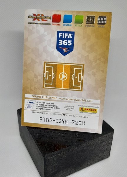 galleryimage 2 zoomed in