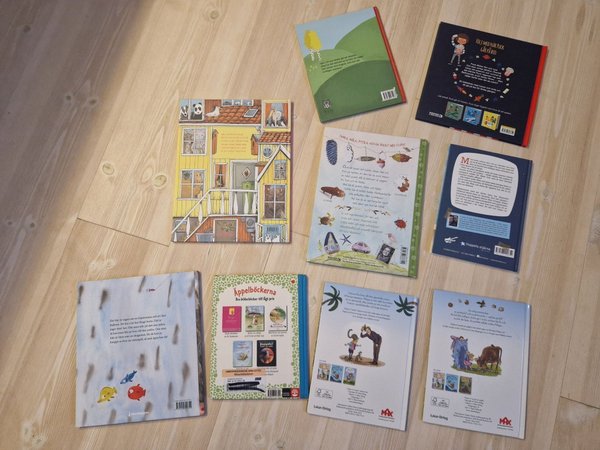 galleryimage 2 zoomed in