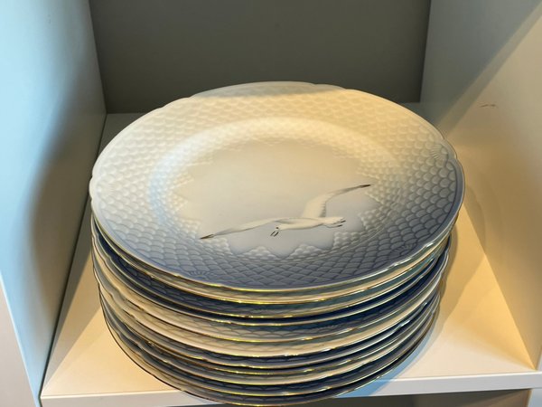 galleryimage 3