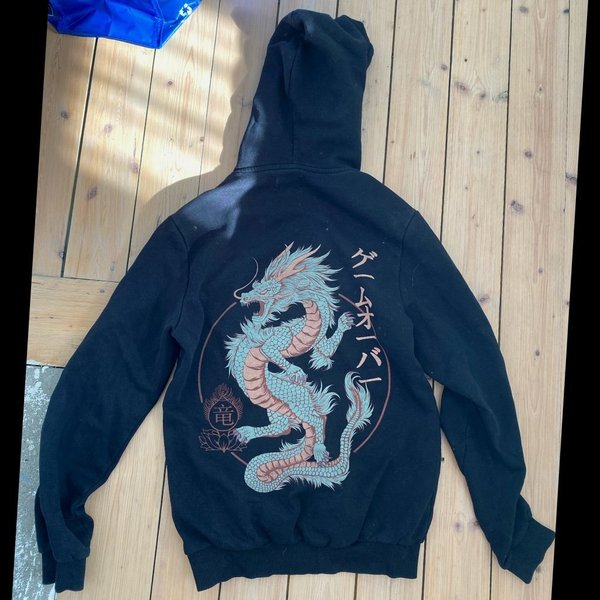 galleryimage 2 zoomed in