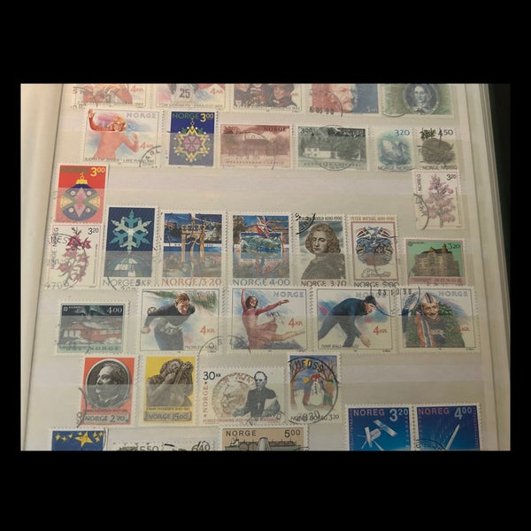 galleryimage 3