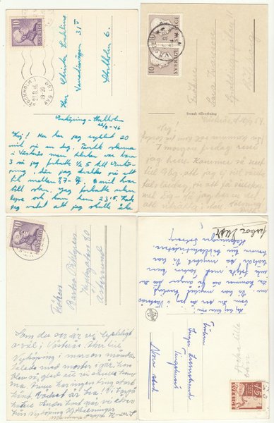 galleryimage 2 zoomed in