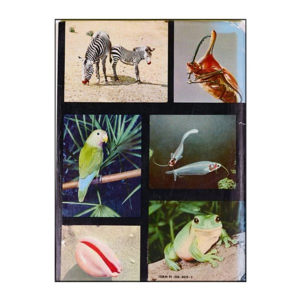 galleryimage 2 zoomed in