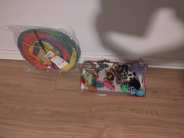 galleryimage 3