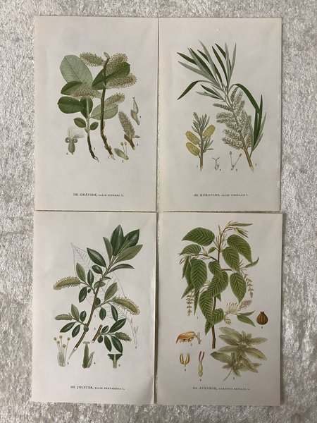 galleryimage 2