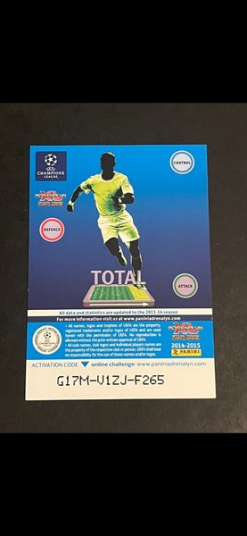 galleryimage 2 zoomed in