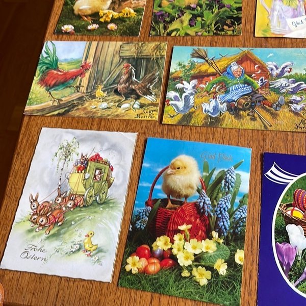 galleryimage 3