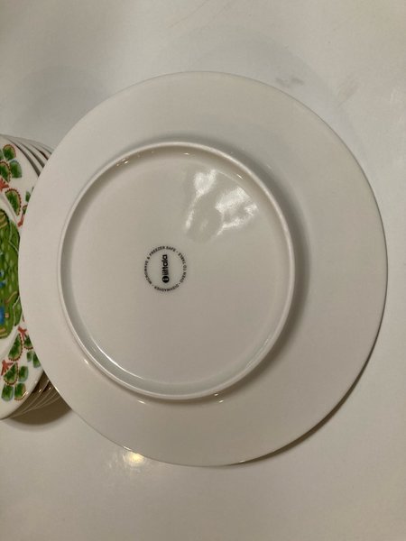 galleryimage 2 zoomed in