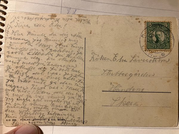 galleryimage 2 zoomed in