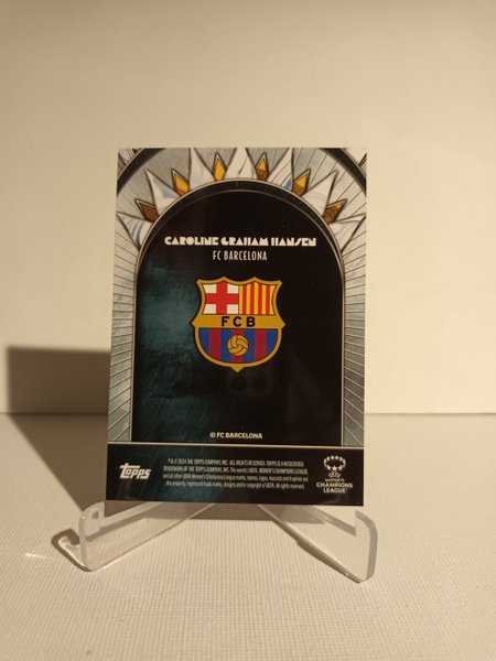 galleryimage 2 zoomed in