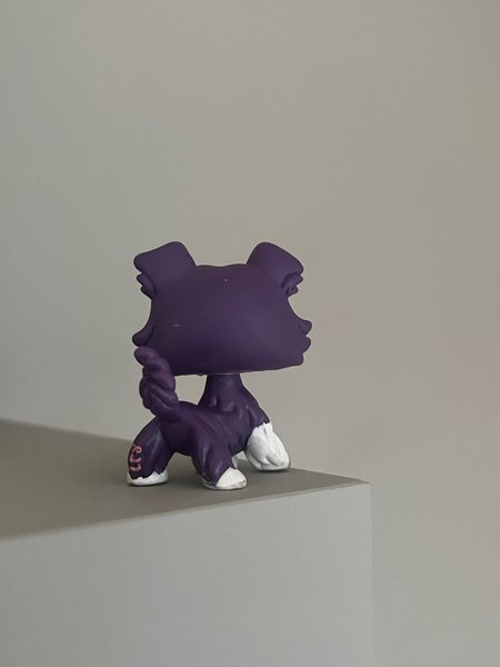 galleryimage 2