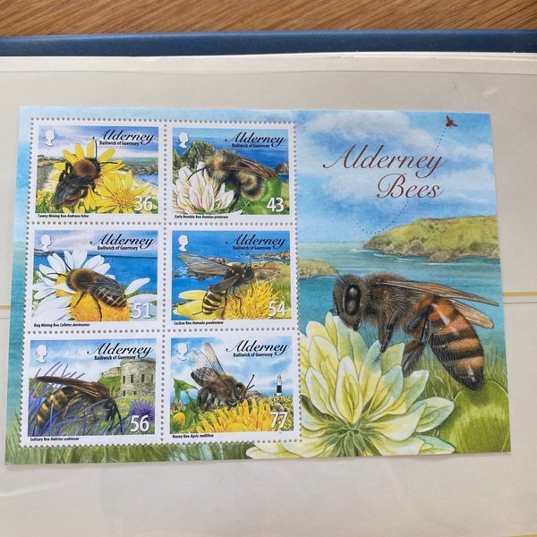 galleryimage 2 zoomed in