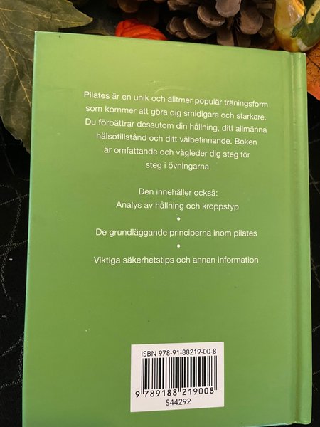 galleryimage 2 zoomed in