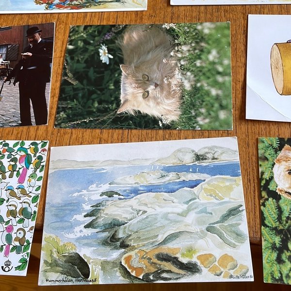 galleryimage 3