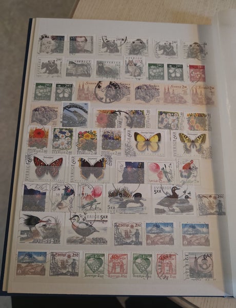 galleryimage 3