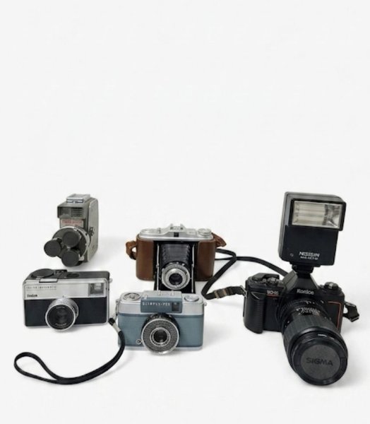galleryimage 3