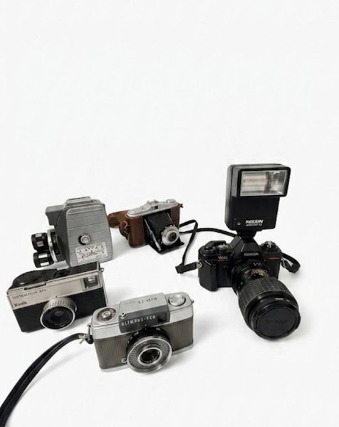 galleryimage 2