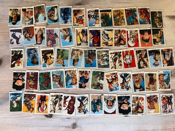 galleryimage 3