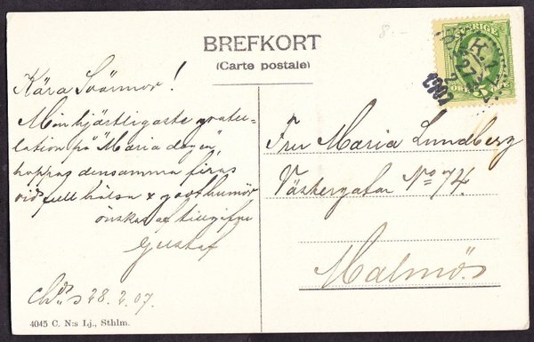 galleryimage 2 zoomed in