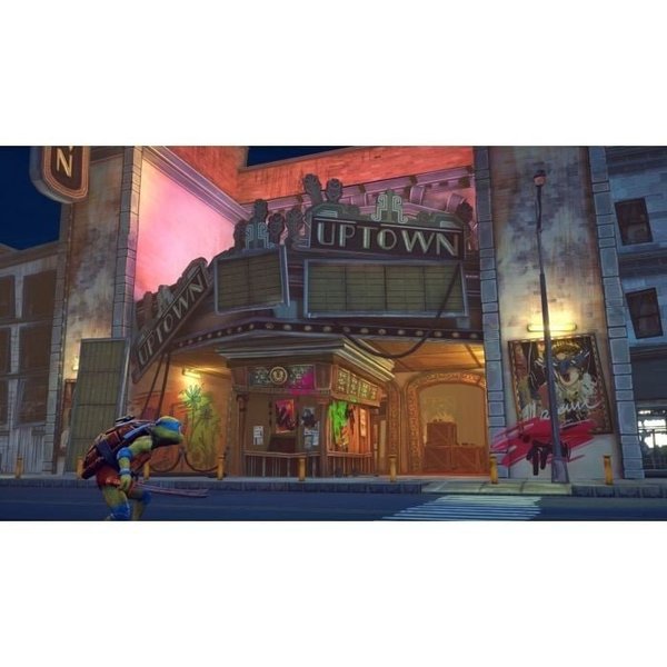 galleryimage 3