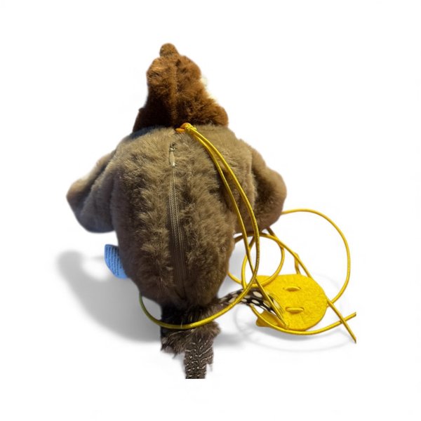 galleryimage 2 zoomed in