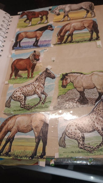 galleryimage 3