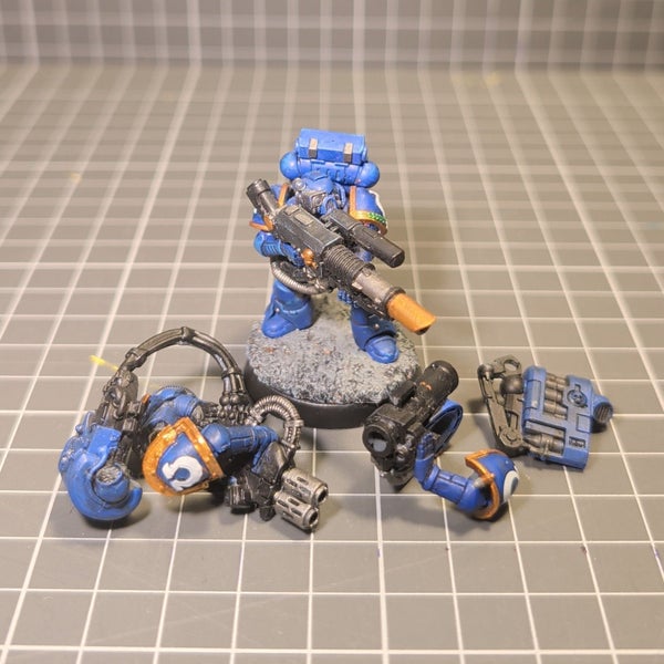 galleryimage 3