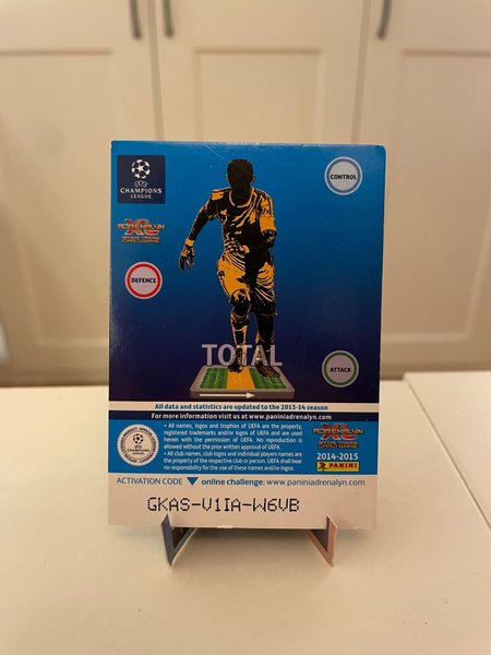 galleryimage 2 zoomed in