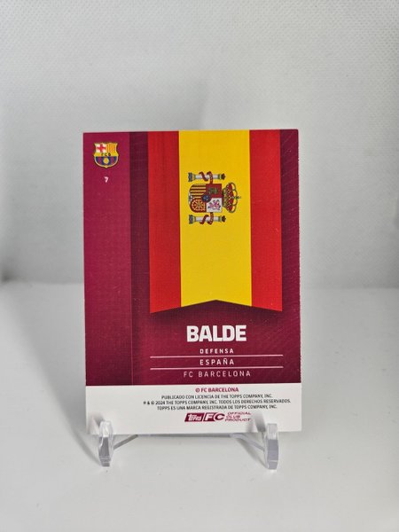 galleryimage 2 zoomed in