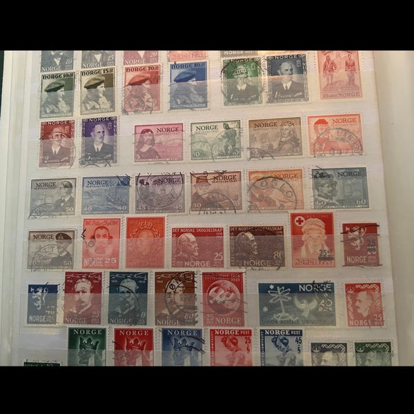 galleryimage 3