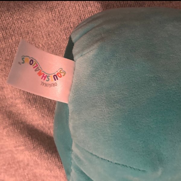 galleryimage 2 zoomed in