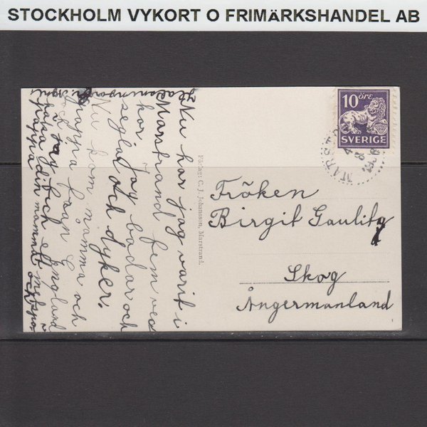 galleryimage 2 zoomed in