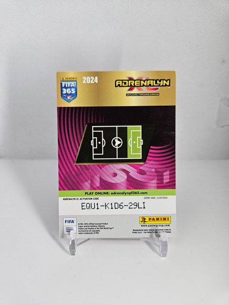 galleryimage 2 zoomed in