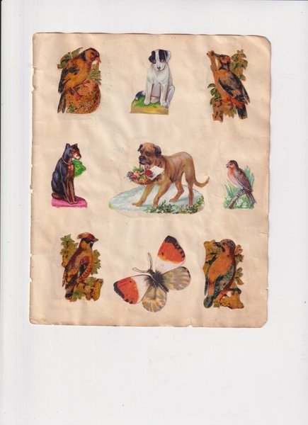 galleryimage 3