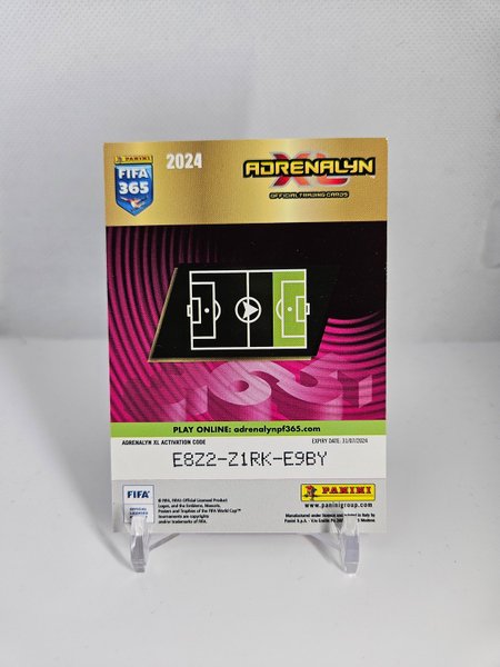 galleryimage 2 zoomed in