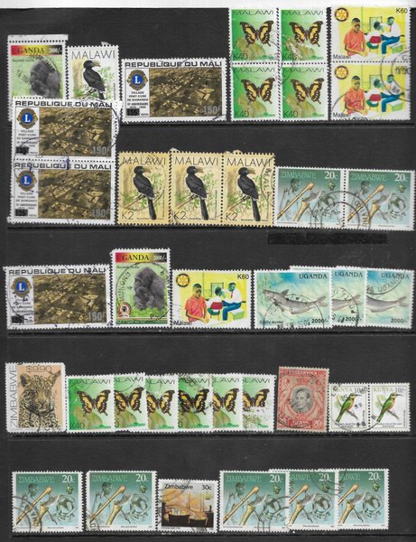 galleryimage 2